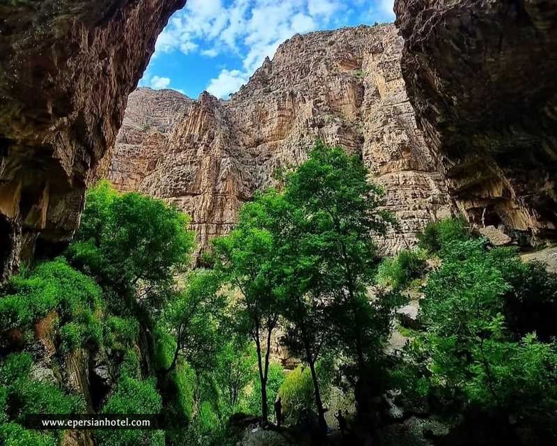 پوشش گیاهی دره شمخال